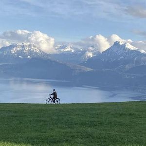 吴健三级无删减版全部
